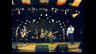 What's Gone Wrong -The Untouchables (Wild Child Tour)