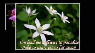 ˙·٠•●✿ Halfway to Paradise by Toni Orlando  ✿●•٠·˙