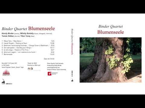 Binder Quartet: Blumenseele / Blumenseele
