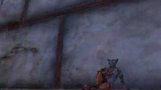 PlaneShift &quot;Woiperdinger - Love Song&quot;