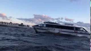Композитный пассажирский катамаран «Грифон» на волнах Невы