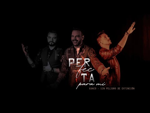 {Perfecta Para Mí} {Perfecta Para Mí} Best Songs
