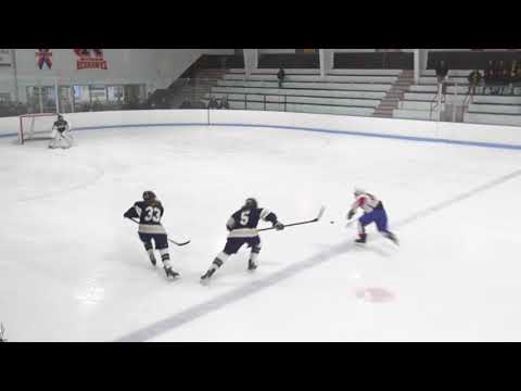 12 13 17 Natick High School Girls Hockey Needham W 2 1