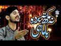 Muhammad Jahanzaib Qadri New Naat 2019 Na Mukh Te Parda Pa Mahi R R By Studio5