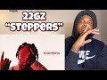 22Gz Steppers REACTION