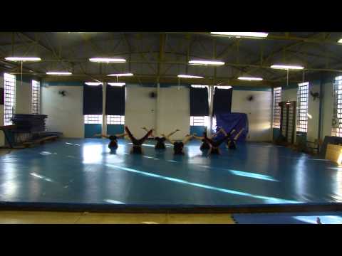 FEF/UFG - Bacharelado 2013/1 - Ginástica - Grupo 6