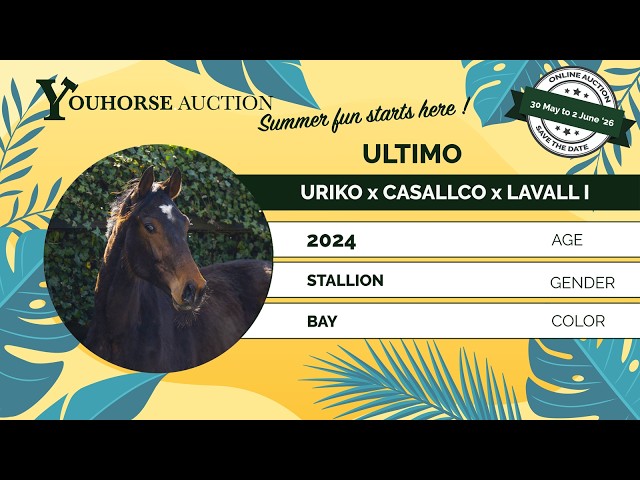 Ultimo