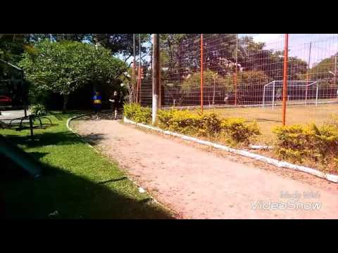 TAF / Agente de Segurança TRT