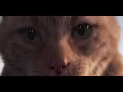 "last time I trusted someone, I lost an eye"