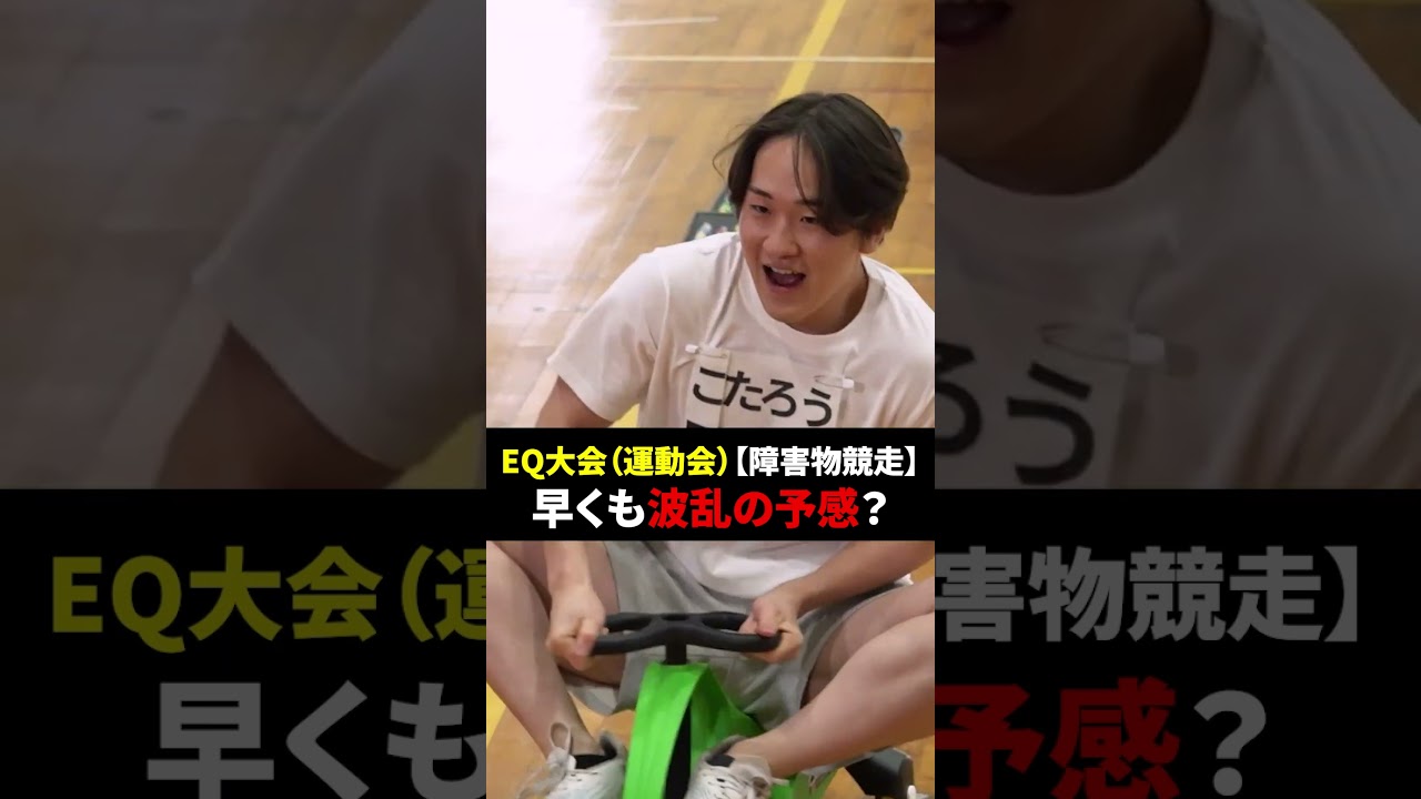 障害物競走で波乱の予感？ #令和の猫 #令和の虎じゃないよ #山本康二