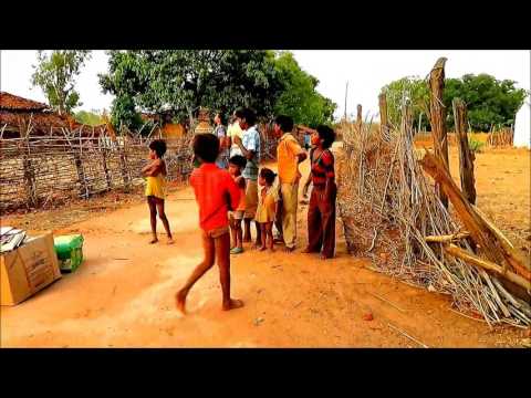 Educate, Engage, Empower to Save Wild Tigers