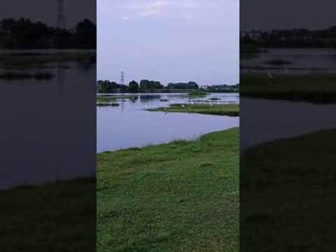 Beautiful  Sceneries || Madurai, T N || Suja Pavithran #Shorts