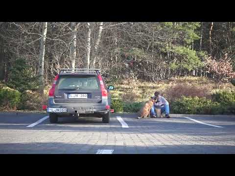 Motokupčių nuotykiai – Lenkija II