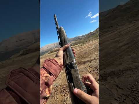 Ergonomics/Trigger (Look, Feel, Function)