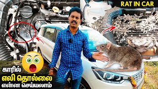 🐁Mouse In Car What To Do, Rat In Car Engine Bonnet Problem How To Get Rid Of | Mano