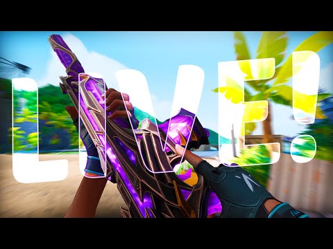 Valorant Ranked with the Boys | Talking about GEKKO | BugsyDan