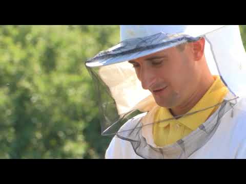 Boja meda ep. 19 17.07.2018. NAJAVA