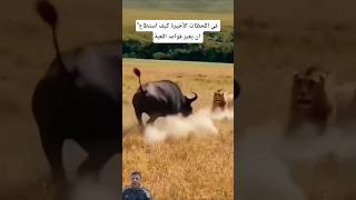 فاللحظات الأخيرة صمود أسطوري غيرقواعد اللعبة#shorts
