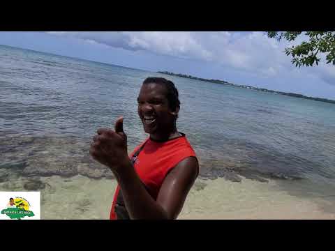 FIRST TIME ON THE BOOBY-CAY ISLAND ...TOURIST ATTRACTION