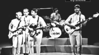 The Beach Boys - Please Let Me Wonder (Shindig! 1965)