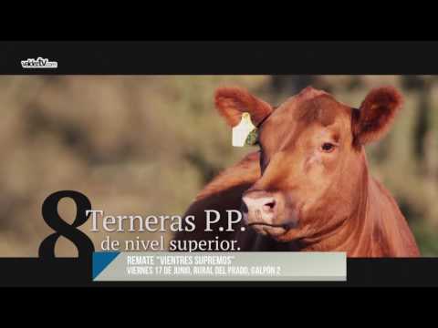 Carlos Fernández - Cabaña La Rubeta