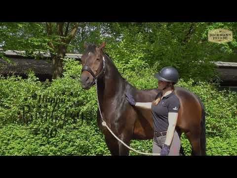 Fidertanz - 20. Geburtstag