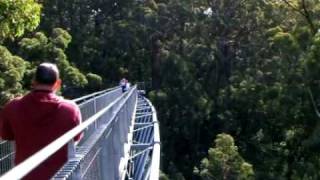 preview picture of video 'Albany Region's Tree Top Walk'