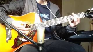 The Front Bottoms - Lonely Eyes Acoustic Guitar Cover