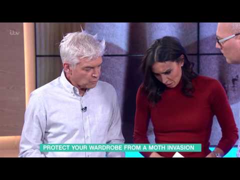 image-Do you protect your clothes from moth damage?