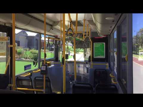 Transperth TP1214 - Mercedes-Benz O405NH (Voith)