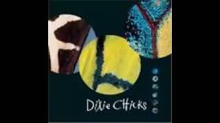 Dixie Chicks-Some Days You Gotta Dance