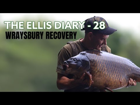 THE ELLIS DIARY - WRAYSBURY RECOVERY!