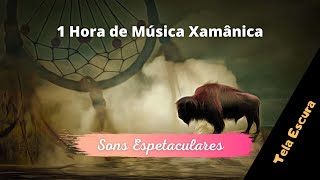 1 hora de Musica xamantica para relaxar e meditar - sons da natureza e flauta indigena.
