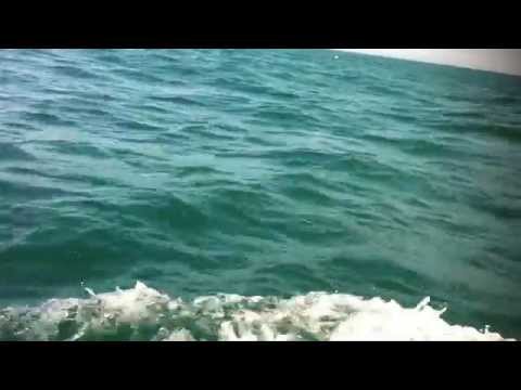 Ian Ramil - Suvenir (clipe)