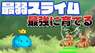 スライムを育てまくるゲーム【サモナースライム】