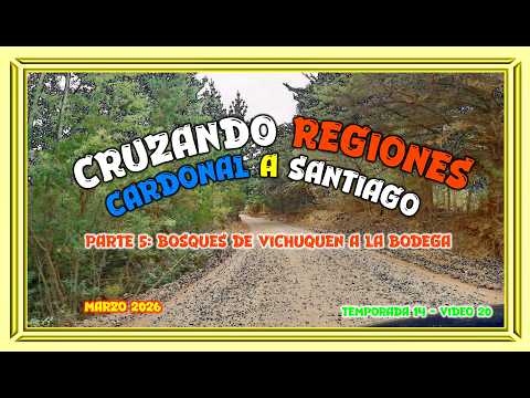 202603 De Pelluhue a Santiago. Parte 5: Bosques Vichuquen a La Bodega (Llico-Rodeo-Quirigua-Bodegas)