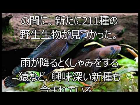 ミャンマーで新種のサルを発見