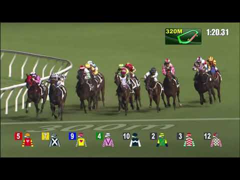 22/9/2021 (49) All Joyful - Matthew Chadwick