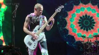 Red Hot Chili Peppers - Aeroplane - Columbia, SC (SBD audio)