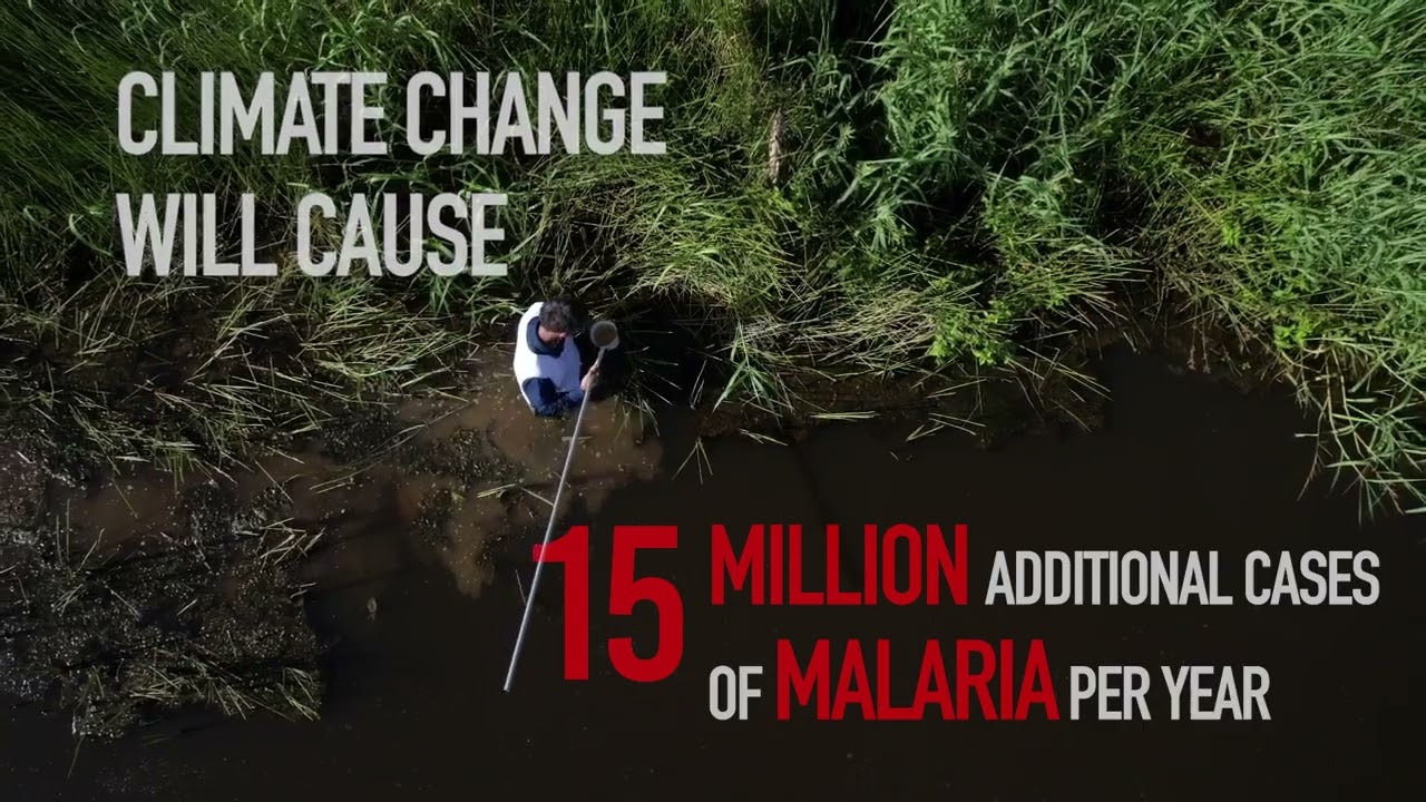 World Environment Day: Vector‑Borne Diseases