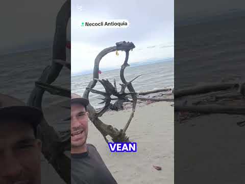 Desde Necocli Antioquia Urabá Colombia. Soy elcostebici recorriendo Latinoamérica en bicicleta