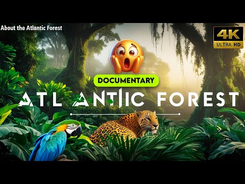 The Atlantic Forest: Brazil’s Most Endangered Jungle| Wildlife Documentary