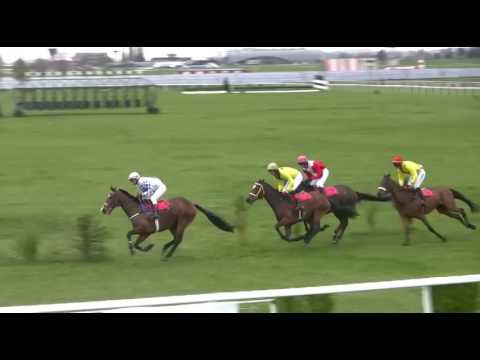 Dostihy Brno-Dvorska 22.4.2017 7. dostih