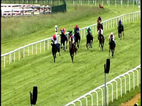 Galopprennbahn Dresden - 17.05.2014 - 1.Rennen