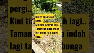 Download lagu Bunga desa#lagu lawas bikin waras#Rhoma Irama#Shorts mp3