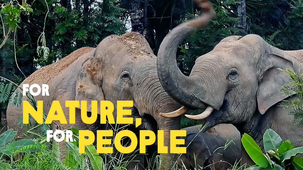 For Nature, For People: The SABAL Project