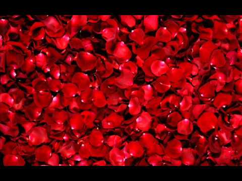 Thomas Newman - Arose (15minutes version)