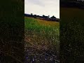 Vadakkumnadhan Malayalam Filim Movie Location Full Video Uploaded In Our Channel