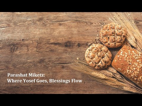 Jerusalem Lights Paraschat Miketz 5781: Wo Josef hingeht, fließen Segen.