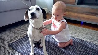 DOG AND BABY BESTFRIENDS!